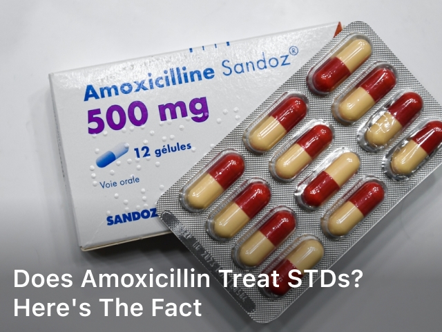 Does Amoxicillin Treat STDs 