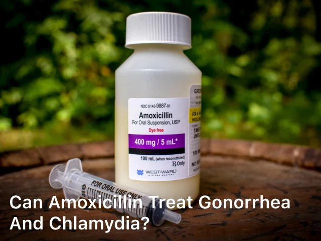 can amoxicillin treat chlamydia and gonorrhea