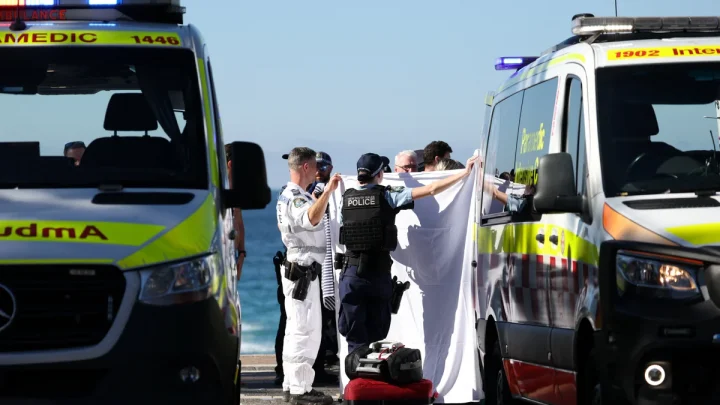 As attacks increase, do shark culls work? Here’s what the science says
