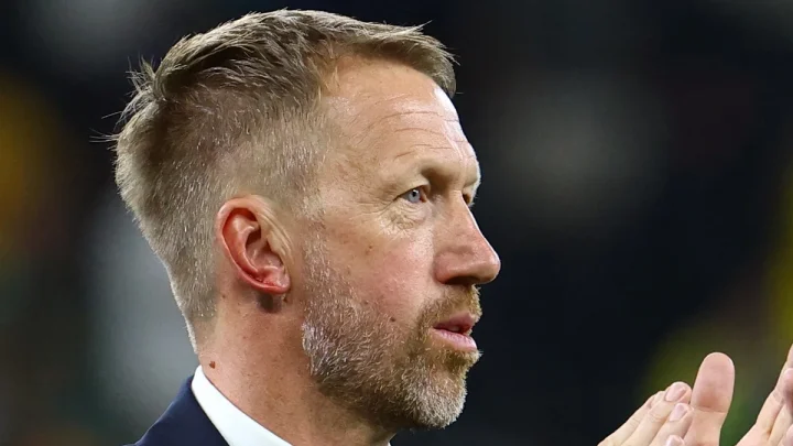 ‘Someone scratched me, or bit me’: Graham Potter reacts to bizarre injury in Sweden’s World Cup celebrations