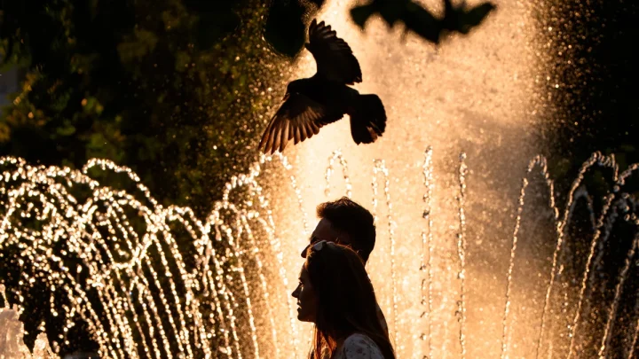 France records around 1,000 additional deaths amid extreme heat wave leading to European records