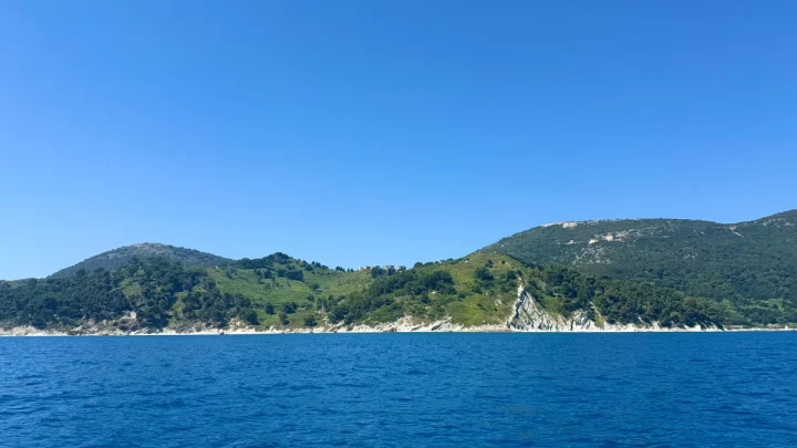 Inside Sazan: The idyllic Adriatic island eyed up by Ivanka Trump that sparked the ‘flamingo revolution’