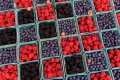 Rising berry prices are squeezing the finances of parents with toddlers