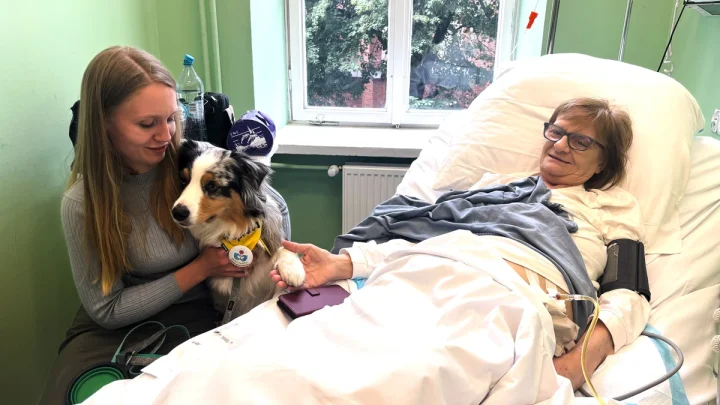 A cancer patient’s cats inspired a push for pets in hospice wards