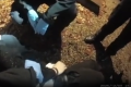‘I can’t breathe’: Harrowing bodycam footage shows moment police dismiss Henry Nowak’s stabbing claim