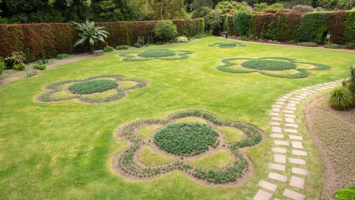 Why tapestry lawns are the perfect low-maintenance drought tolerant grass alternative