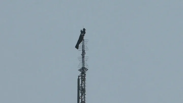Daredevil couple arrested after scaling Empire State Building to get engaged 1,450 feet in the air