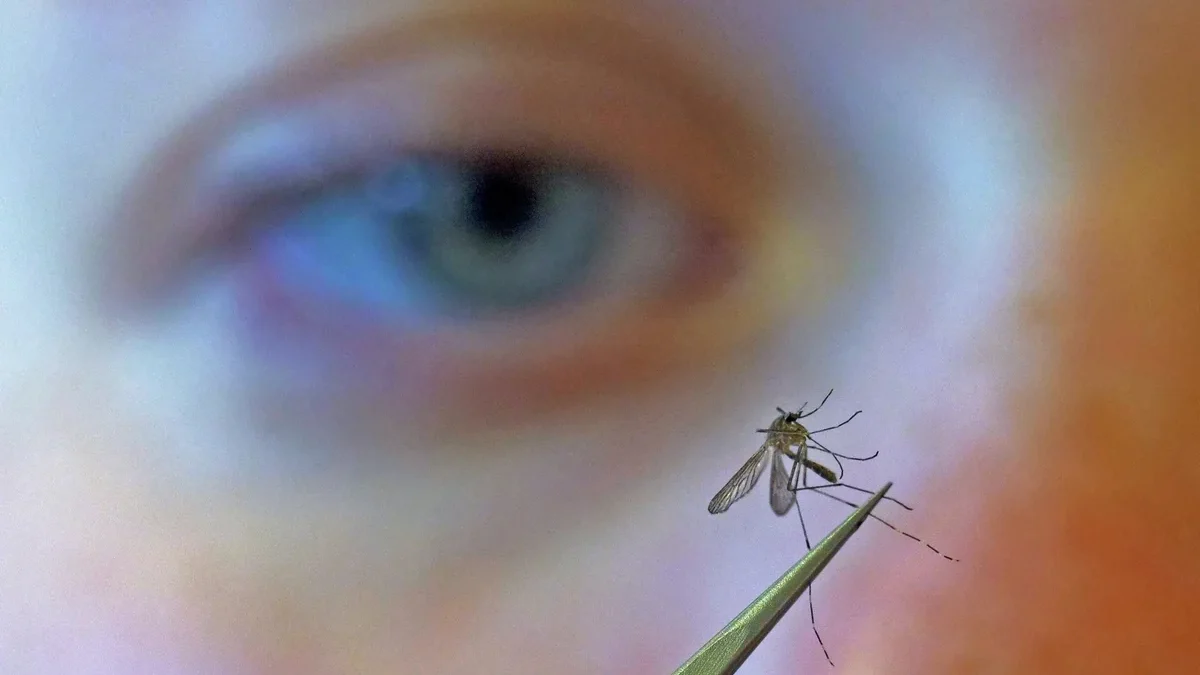 West_Nile_Virus_513_5