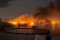 Iran-US war latest: Trump claims Tehran called and ‘want to make a deal so badly’ after second night of strikes